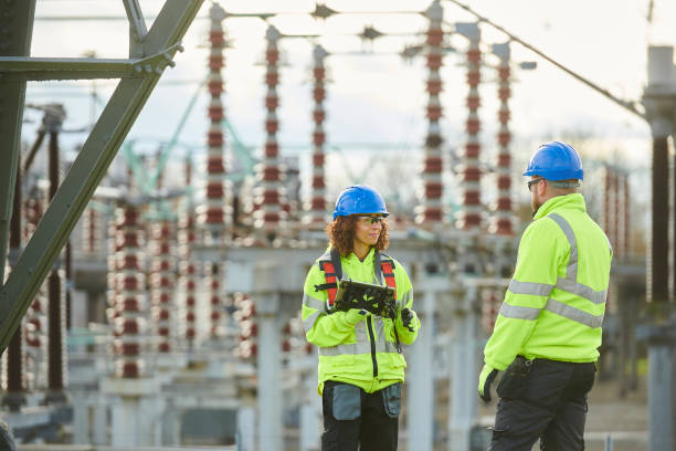 Best Electric Panel Repair  in Pierce City, MO